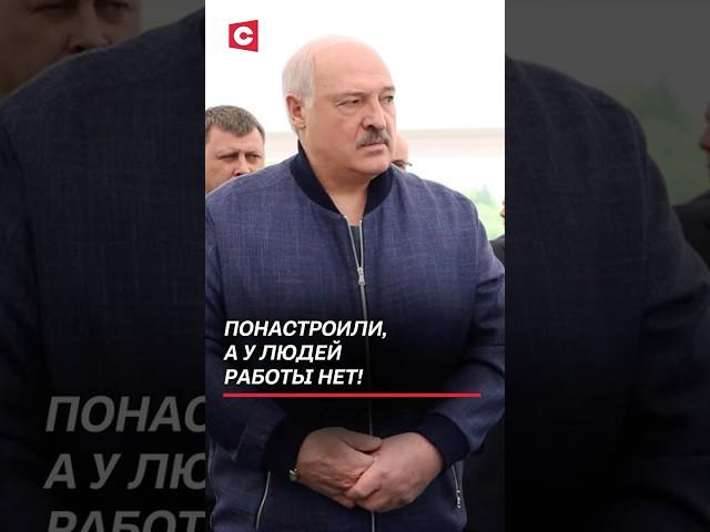 Лукашенко: Понастроили, а у людей работы нет! #беларусь #лукашенко #батька
