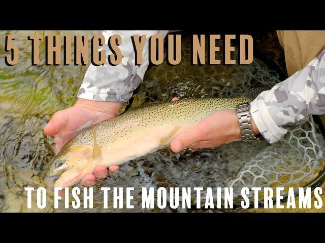 5 things you need to have before Fly Fishing the Mountain Streams.