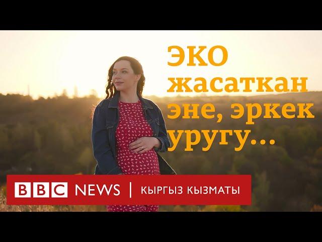 ЭКО менен балалуу болуу, эркек уругунун сапаты - BBC Kyrgyz