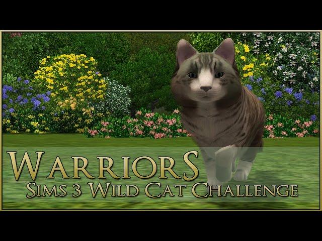 A Forest-Touched Wild Cat  Warrior Cats Sims 3 Legacy - Episode #1