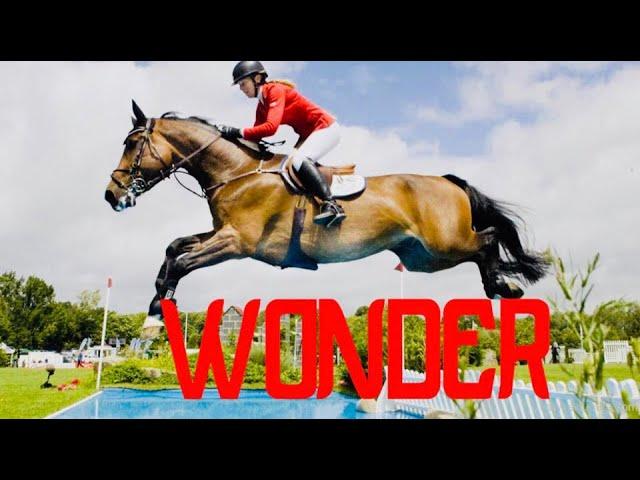 КОННЫЙ СПОРТ-КЛИП!Equestrian sport-Horse Jumping Music Video/Dressage Music Video/Equestrian Video