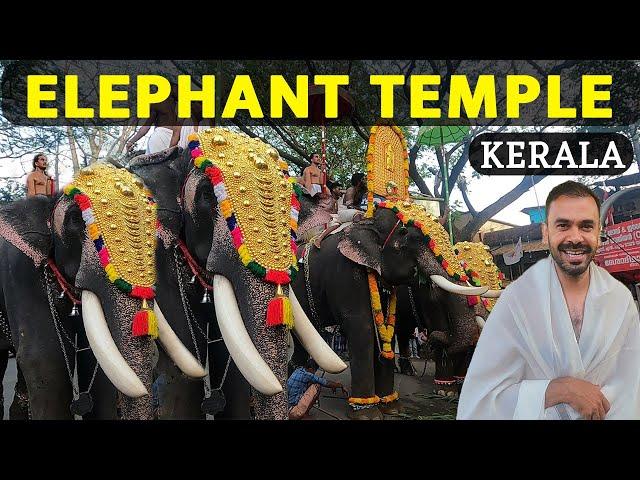 Thrissur Temples & Food Tour | Thrissur Pooram | Kerala Tourist Places | South Indian Temples