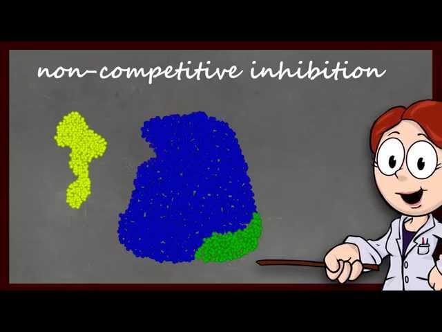 Enzyme Function and Inhibition