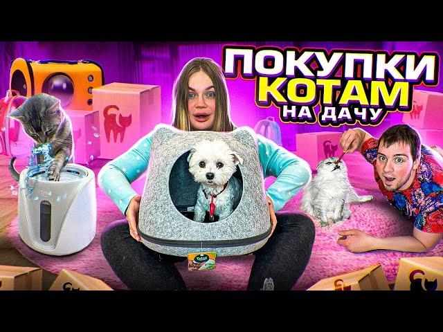 100 ДАЧНЫХ ТОВАРОВ ДЛЯ ЖИВОТНЫХ! ОГРОМНАЯ РАСПАКОВКА ДЛЯ КОТОВ НА ДАЧУ + конкурс