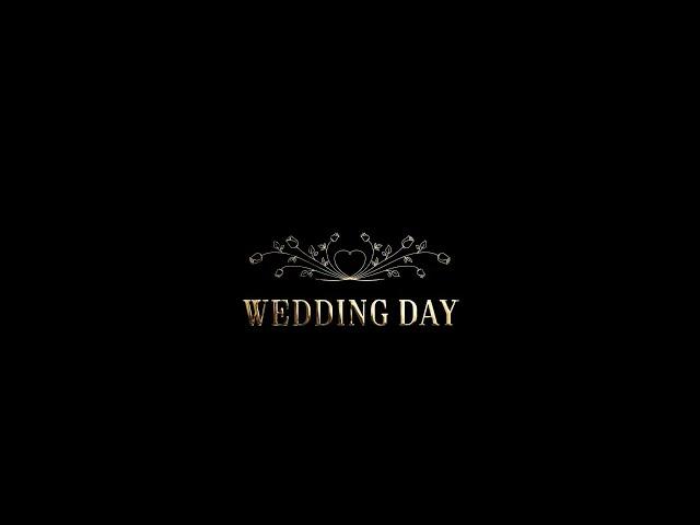 Footage. Wedding day. Alpha channel. Футаж. Свадебный день. Альфа канал