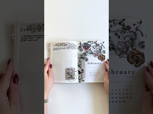 My Favorite Spreads From February