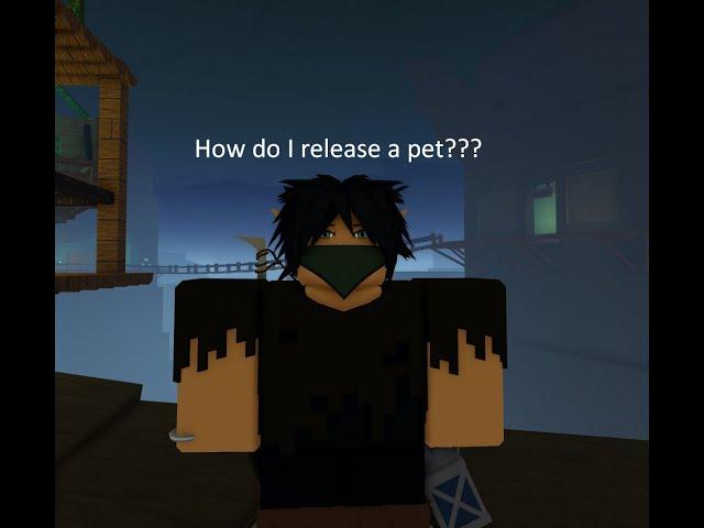 How to let go of a pet (Rune Slayer Roblox)