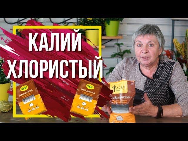 Зачем Нужен Калий Хлористый ️ Калийные удобрения в Саду