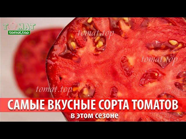 Самые вкусные сорта томатов в этом сезоне. Эти томаты смогут удивить своим вкусом! Вкусные томаты!