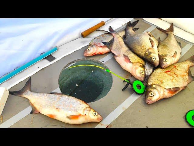 Winter fishing for bream, fish! Raises a nod at night in the tent