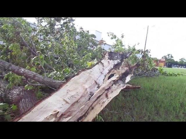 31 Aug cleaning up storm damage at Little building