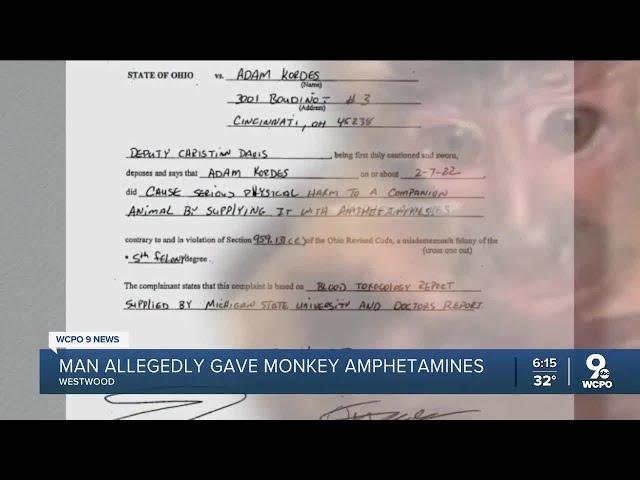 Man faces charges after allegedly giving his pet monkey drugs