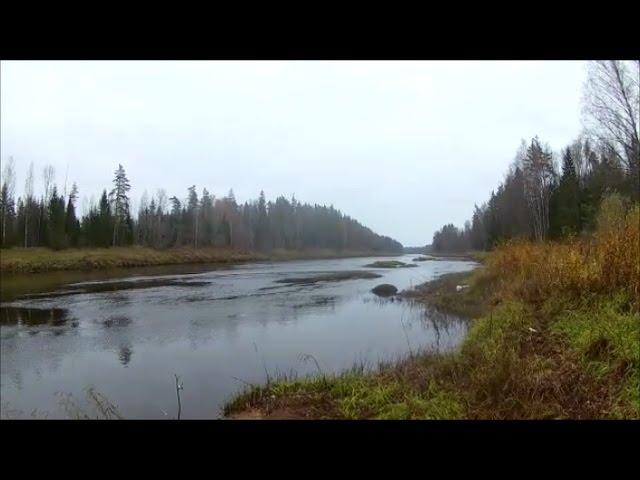 Особенности ловли НАЛИМА в осенний период.Часть 1