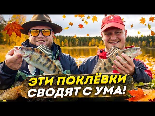 ЭТИ ПОКЛЁВКИ СВОДЯТ С УМА! РЫБАЛКА НА ВОЛГЕ!