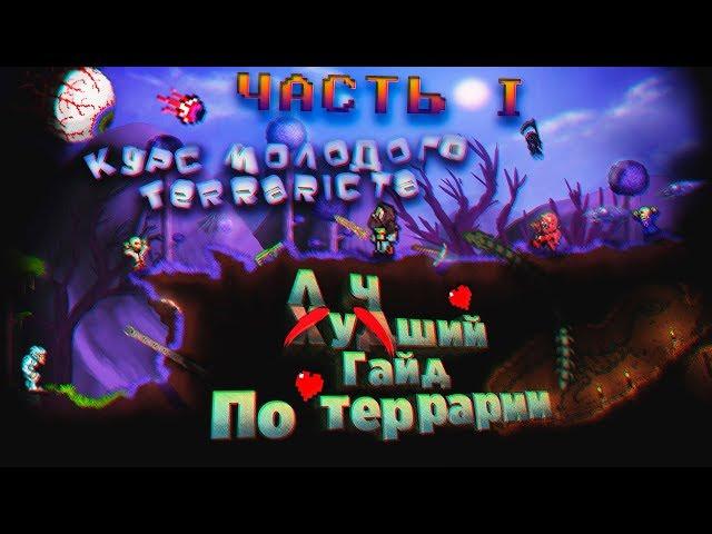 Курс молодого Terrariста | Лучший гайд по Террарии | Часть 1 |