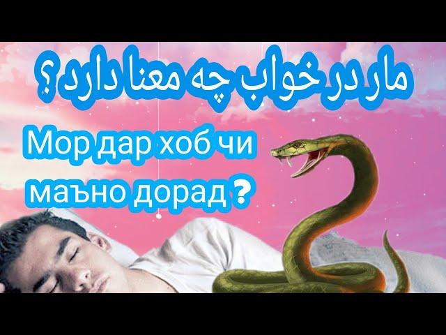 مار در خواب چه معنا دارد ؟ Мор дар хоб чи маъно дорад