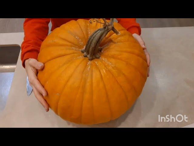 ОБЗОР- ТЫКВА сорт "ПОЛЕ КОННЕКТИКУТА (КОННЕКТИКУТСКАЯ ПОЛЕВАЯ ТЫКВА) #pumpkin #тыква #деревня