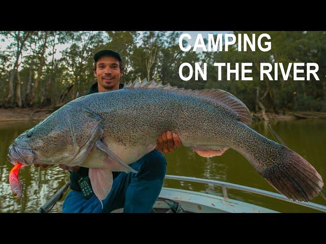 Murray Cod Fishing - Big Fish and Small rivers