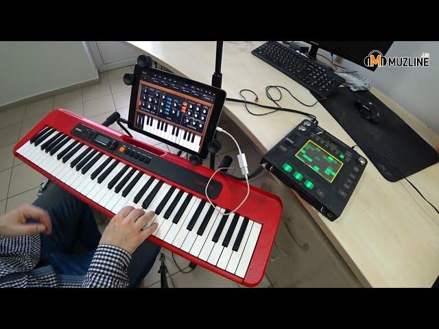 Синтезатор Casio CT-S200 + Chordana Play Инструкция по подключению/Manual/Moog/miniMoog