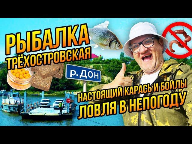 Бешеный клёв в Трехостровской на Дону| Два дня в непогоду и днем и ночью!