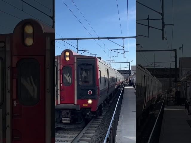 Im Begging #amtrak #trains #p42 #train