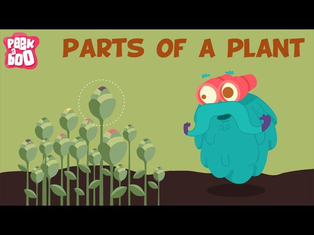 Parts Of A Plant | The Dr. Binocs Show | Learn Videos For Kids