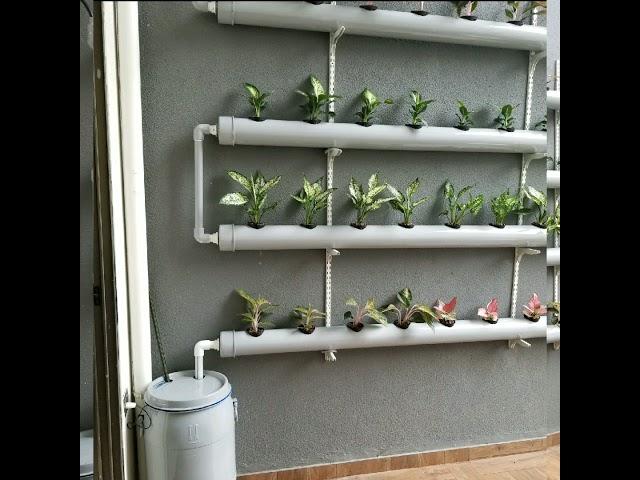 Hydroponics Setup At Home 48 Plants