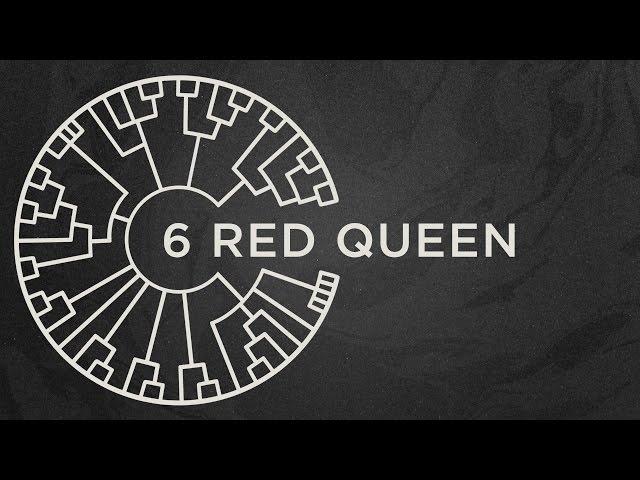 Area 11 - Red Queen [Official Lyric Video]