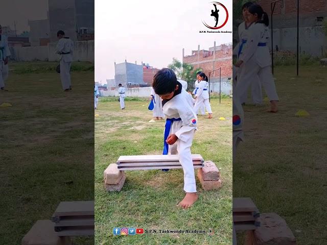 4 Years oldTaekwondo breaking #shorts #spntkd #viral