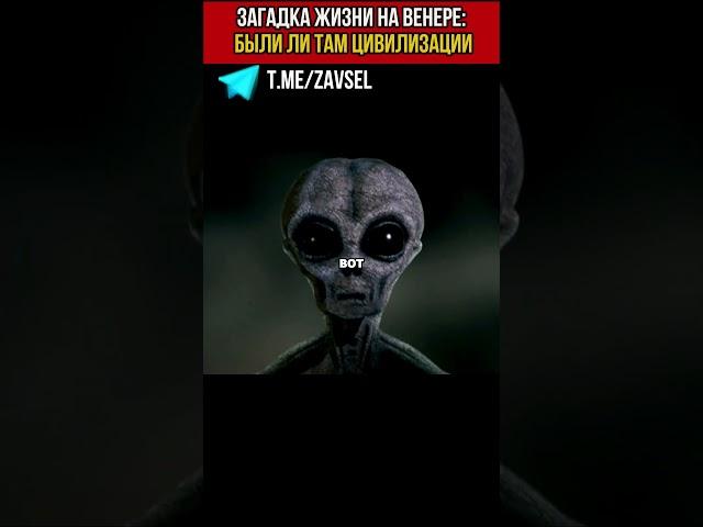 Внутри Венеры существует жизнь