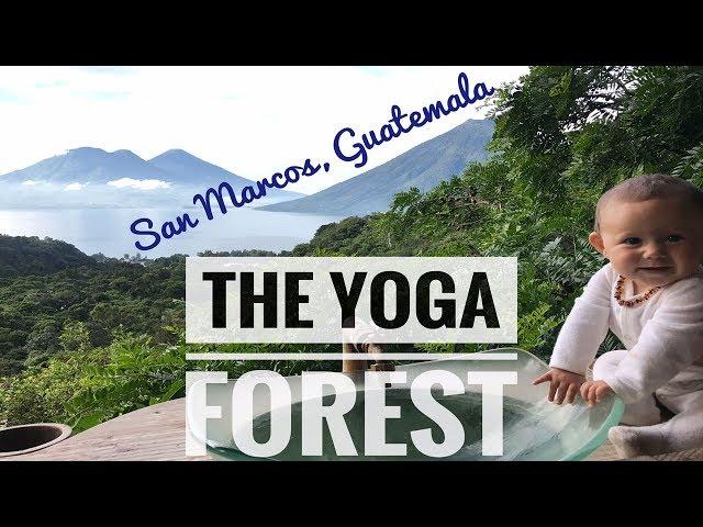 THE YOGA FOREST - SAN MARCOS, GUATEMALA