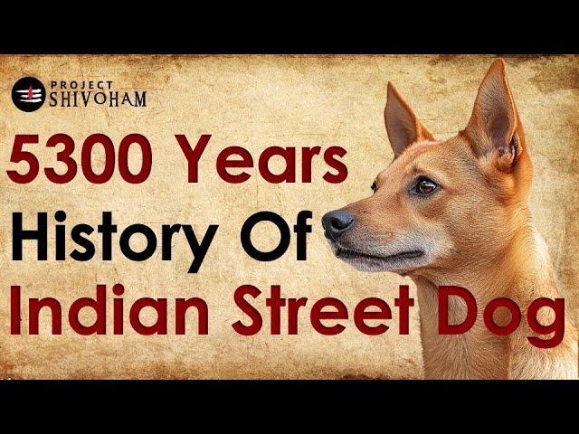 The Ancient History of Indian Pariah Dog