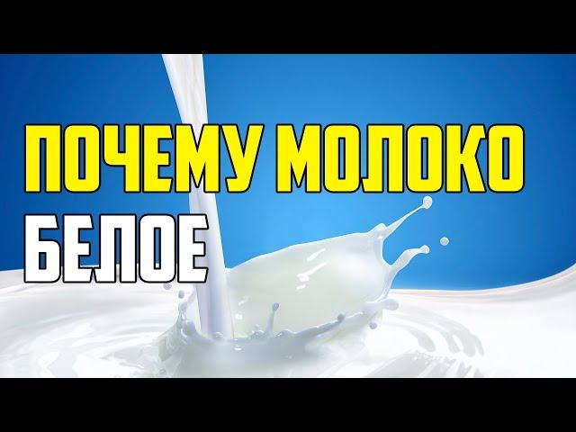ПОЧЕМУ МОЛОКО БЕЛОЕ #shorts