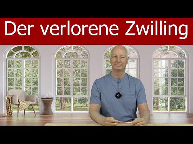 Der verlorene Zwilling