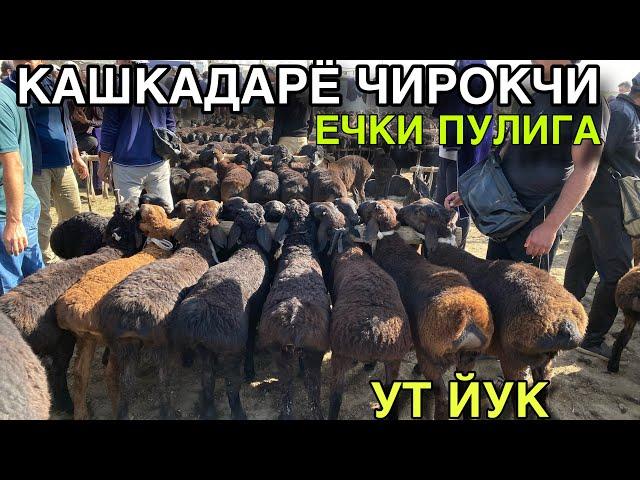 АРЗОНЛАГАН АНЧА! 28 МАЙ КУЙ КУЗИ НАРХЛАРИ 2025.КАШКАДАРЁ ВИЛОЯТИ ЧИРОКЧИ МОЛ БОЗОРИ НАРХЛАРИ 2025.