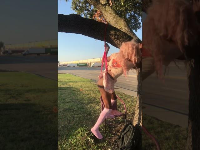 Pink Femboy Gets Hanging Wedgie In Broad Daylight 