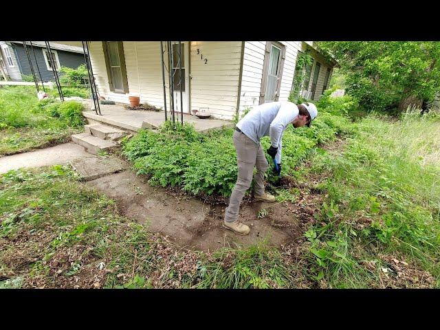 Nature RECLAIMED this property and the CITY did nothing about it