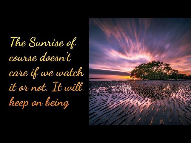 The Sunrise of course doesn't care if we watch it or not | nature quote | Beautiful Quotes |