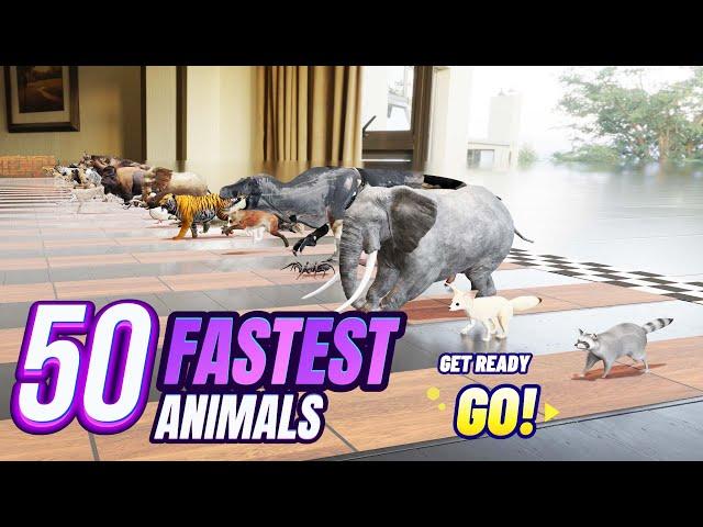 50 Animals Race to Victory in My House: The Ultimate Showdown!