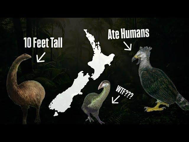 Why New Zealand’s Ancient Birds Were Cooler Than Dinosaurs?!?!?