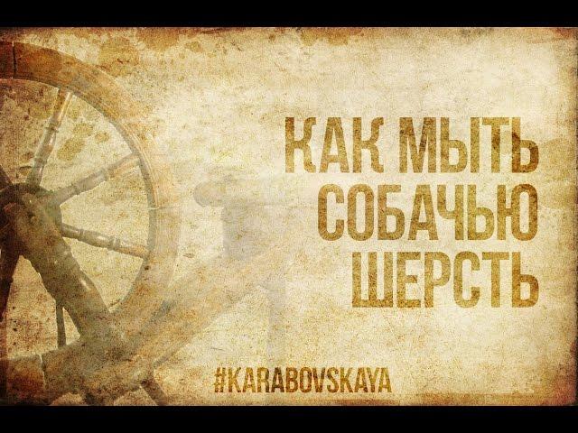 Как мыть собачью шерсть перед прядением