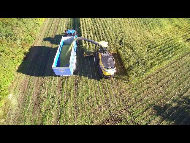 Snitter til majs, FR Forage Cruiser fra New Holland - køb den hos Anker Bjerre A/S .