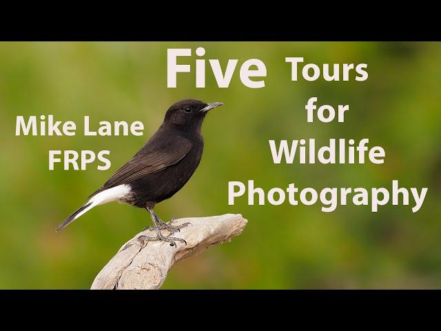 Five hotspots for wildlife photography.