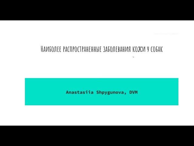 Dog's Breeder expert. Дерматологія для заводчиків собак. Анастасія Шпигунова. 15.03.21