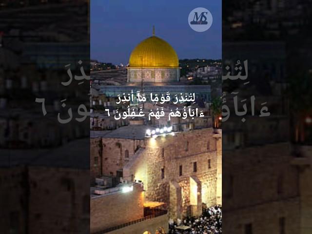 Quran Video#shorts