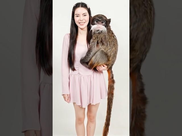 My pet giant monkey ! #sunflowava #ai