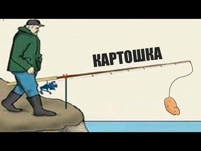 Как ловить на картошку и почему эта снасть ловит практически везде?