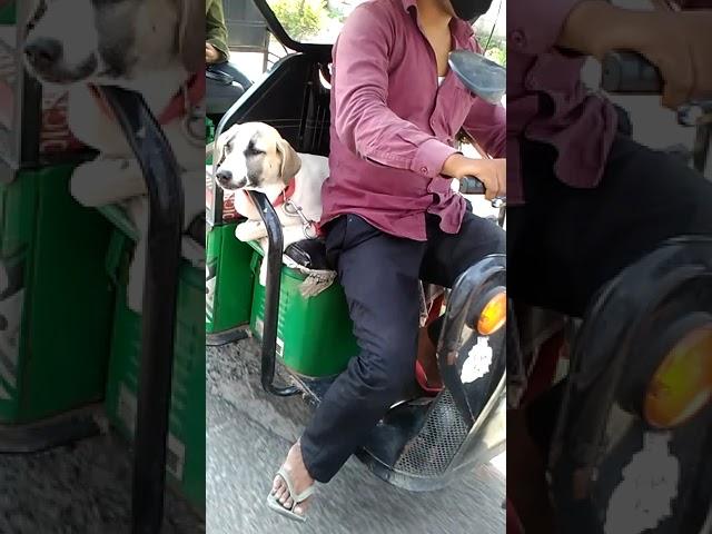 #Pet With  E Rickshaw Driver