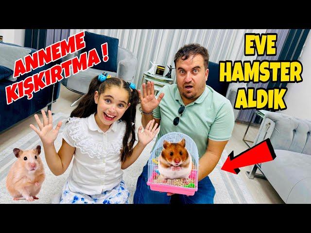 ELİF SİNEM EVE FARE ALDI !! ANNEME KIŞKIRTMA !! HAMSTER İLE BÜCÜR NAPTI ??