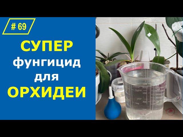 # 69 Как вернуть орхидею с того света. Препарат ТОПСИН-М для орхидей #ПоливОрхидеи #ЛечениеОрхидей